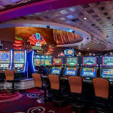 winbet 365